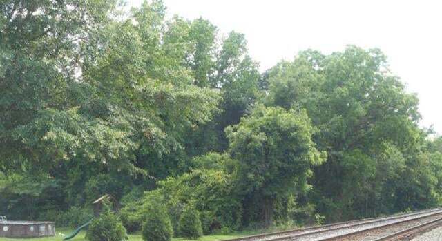 Photo of 0 Railroad, Greensboro, GA 30642