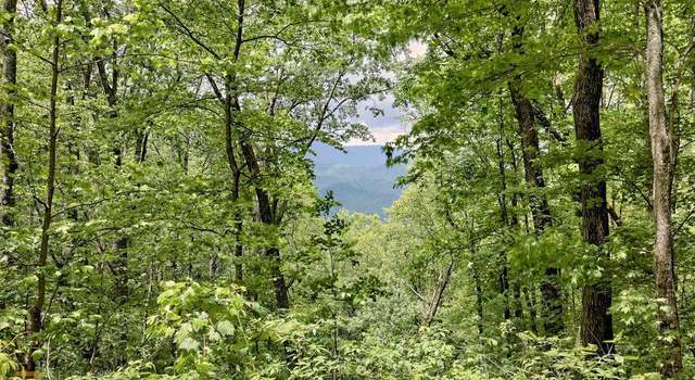 Photo of 0 Deep Woods Lot 9, Rabun Gap, GA 30568