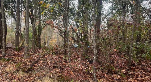 Photo of 0 Evergreen Cir, Ivey, GA 31031