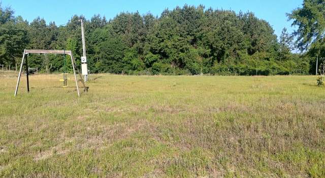 Photo of 401 Sanders Cemetary Rd, Chauncey, GA 31011