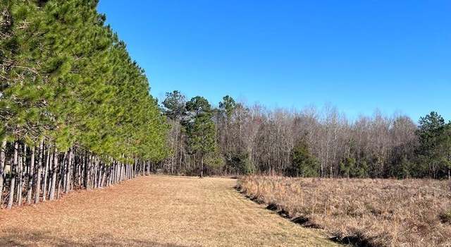 Photo of 520 Limestone Lane Tract#1, Mount Vernon, GA 30445