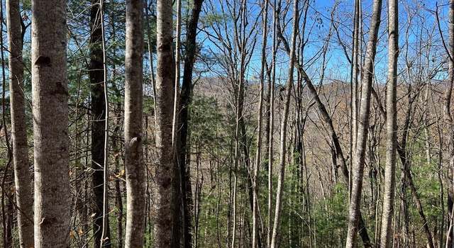 Photo of 406 Barefoot Rise, Hiawassee, GA 30546