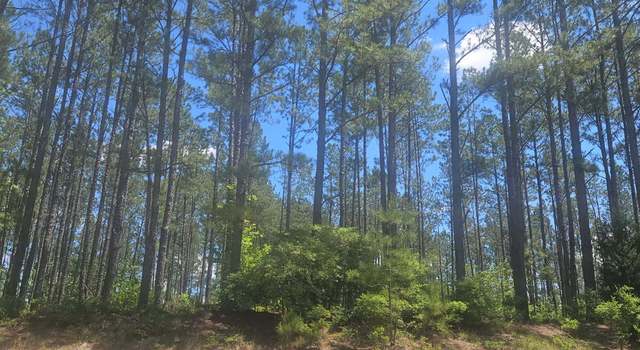 Photo of LOT #7 Highway 123, Mitchell, GA 30820