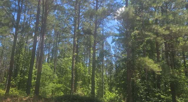 Photo of LOT #8 Highway 123, Mitchell, GA 30820