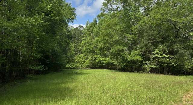 Photo of 0 County Line Church Rd, Warm Springs, GA 31830