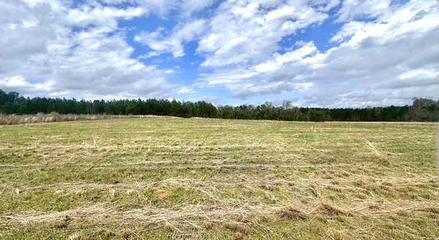 Photo of 3167 Jason Franklin Rd, Register, GA 30452