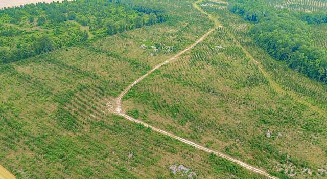 Photo of 0 Tract 1 - Powell School Rd N, Lumber City, GA 31549