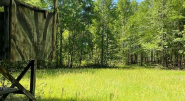 Photo of 0 Moncrief Rd, Roberta, GA 31078