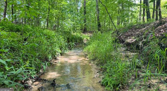 Photo of 0 Center Hill Rd, Crawfordville, GA 30669