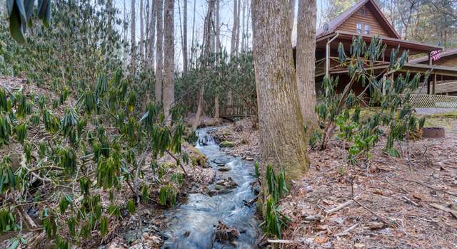 Photo of 189 Wild Azalea Dr, Dillard, GA 30537