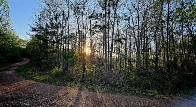 Photo of 0 Pointe South Dr # 69-73, Wedowee, AL 36278