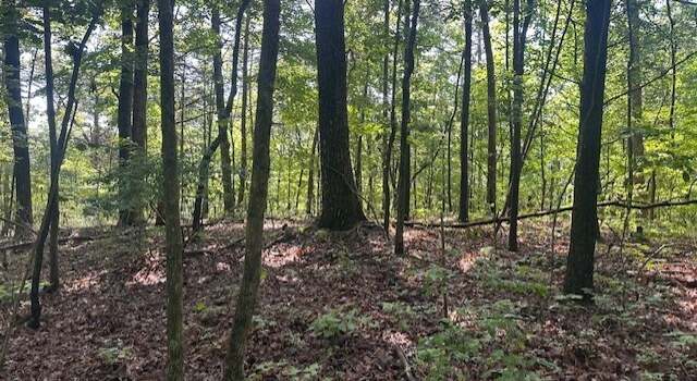 Photo of TR3 - 3.83 ACRE Wendy Hill Rd, Talking Rock, GA 30175