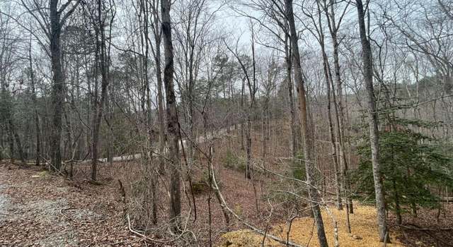 Photo of LOT 618 Charity Ct, Ellijay, GA 30540