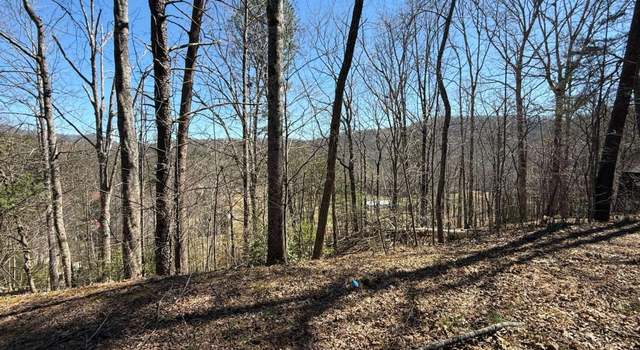 Photo of 1035 Sky Hawk Mountain Dr, Hiawassee, GA 30546