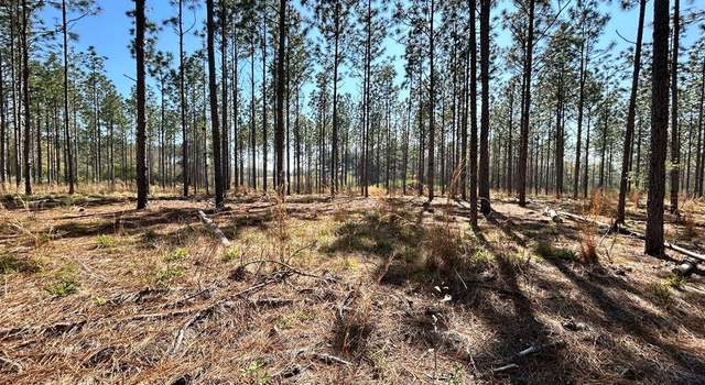 Photo of 0 Gunn Rd, Sumner, GA 31789