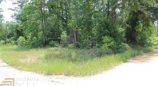 Photo of 0 Old School Site #71, Leesburg, GA 31763