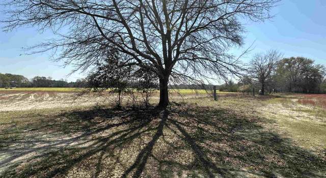 Photo of 0 Seaborn Vickery & Akins Pond Rds Unit TRACT 4, Statesboro, GA 30461