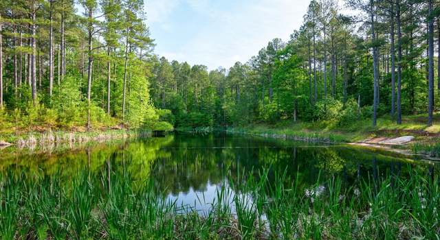 Photo of 0 N POINT PETER Road, Carlton, GA 30627