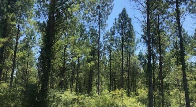 Photo of 0 Croxton Xrds, Smithville, GA 31787
