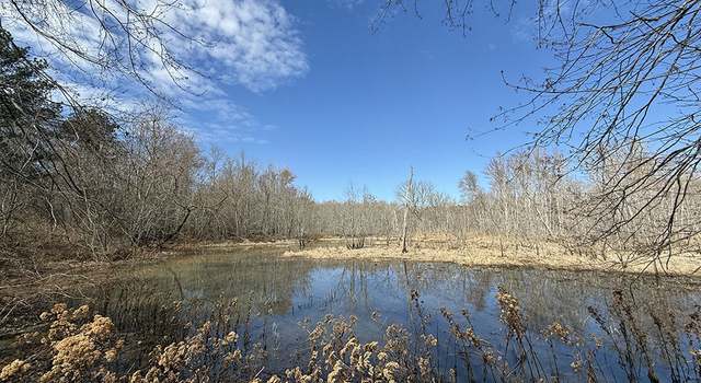 Photo of 0 White Springs Rd, Dry Branch, GA 31020