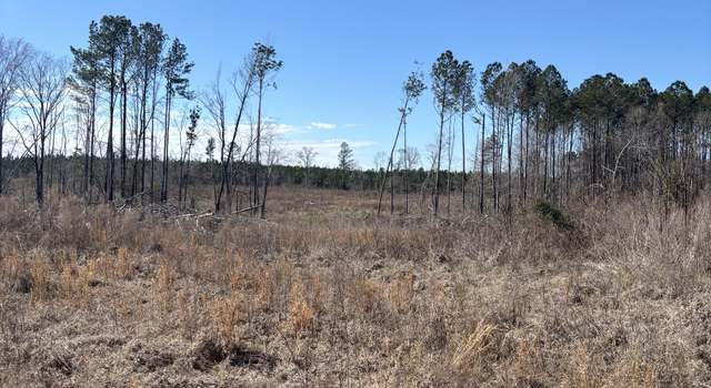 Photo of 0 Glover Rd, Davisboro, GA 31018