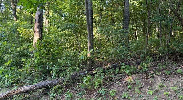 Photo of 0 Trailwood Dr, Ellijay, GA 30536