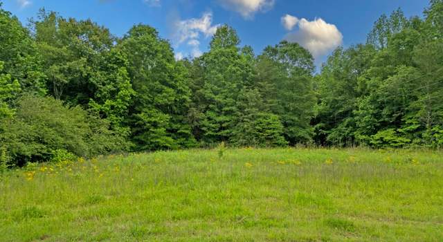 Photo of 464 Deer Meadows Estates Rd, Carnesville, GA 30521