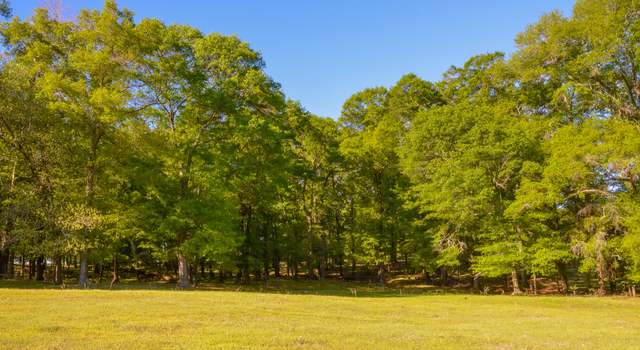 Photo of 0 Payne Pond Rd, Weston, GA 31832