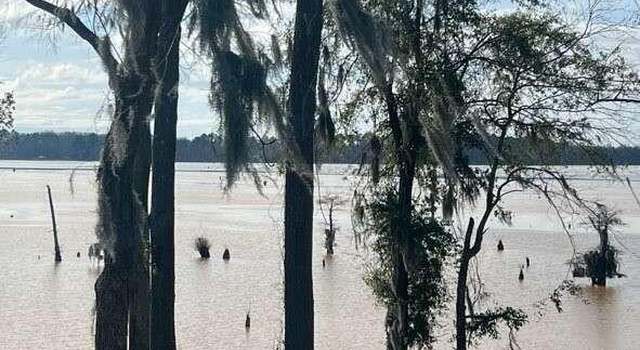 Photo of 0 Flintview Drive- Lot 9, Cordele, GA 31015