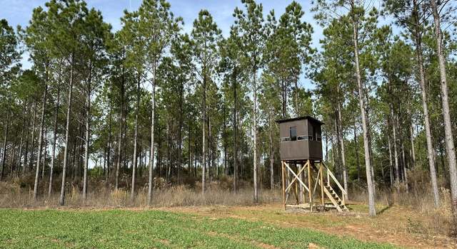Photo of 2211 Lower Shellman Rd, Cuthbert, GA 39840