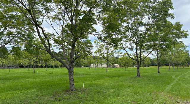 Photo of 0 Myrtle Rd, Claxton, GA 30417