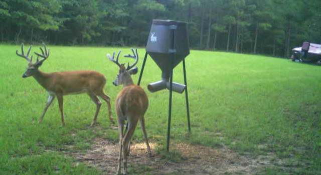 Photo of 0 Scuffleboro Rd, Eatonton, GA 31024