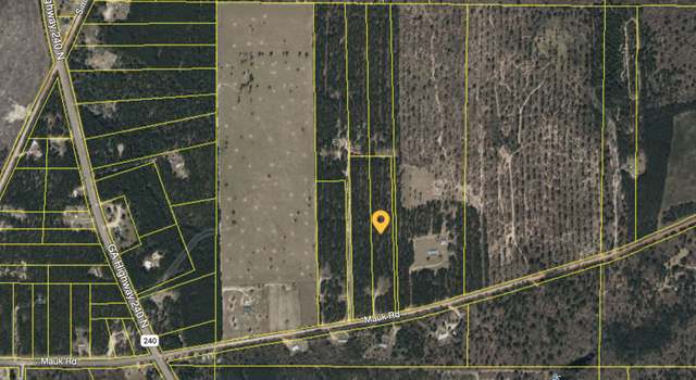 Photo of 175 Mauk Rd, Mauk, GA 31058