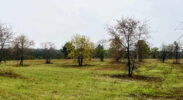 Photo of 0 Guy Weatherly Rd, Cadwell, GA 31009