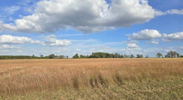 Photo of 17 Hay Field Rd, Cochran, GA 31014