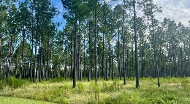 Photo of 33206 Canoochee Rd, Metter, GA 30439