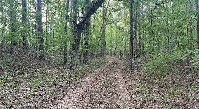 Photo of 0 Thompson Rd, Meansville, GA 30256