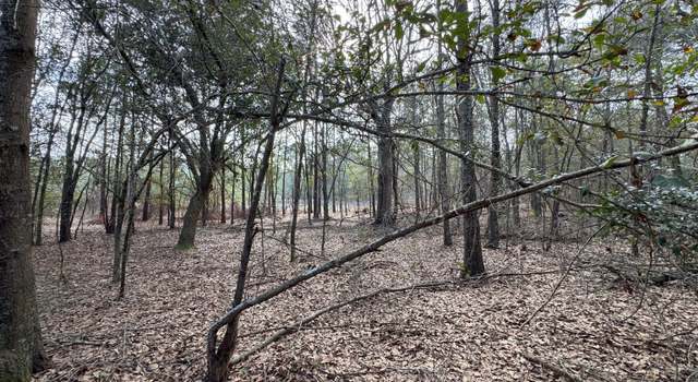 Photo of 0 Whispering Pines Rd, Pelham, GA 31779