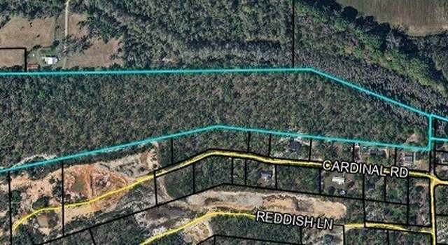 Photo of 33 ACRES Ware St, Blackshear, GA 31516