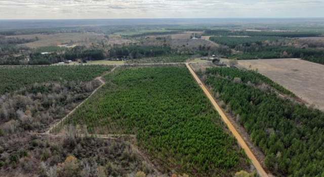 Photo of 0 Oscar Beacham Rd, Rockledge, GA 30454