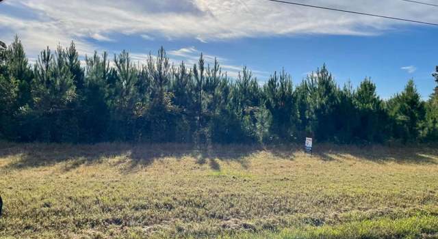 Photo of 35.64 AC Highway 147, Reidsville, GA 30453
