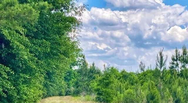 Photo of 0 S Highway 49, Americus, GA 31719