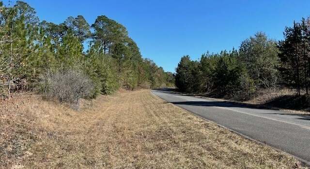Photo of 40+/- ACRES Pineville Rd, Buena Vista, GA 31803