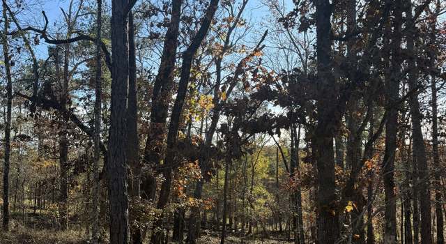 Photo of LOT 216 Anthemis Rd, Sparta, GA 31087