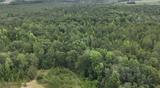 Photo of 0 Chauncey Rhine Hwy, Chauncey, GA 31011