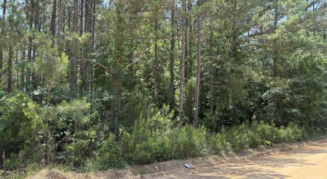 Photo of 0 Floyd Turner Ln, Sandersville, GA 31082
