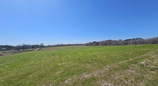 Photo of 0 Collins, Arabi, GA 31712