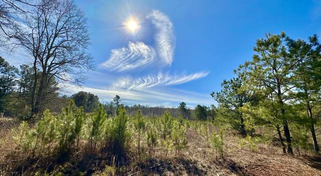Photo of 0 Douglas Creek Rd, Flovilla, GA 30216