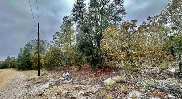 Photo of 0 Coleman Bridge Rd, Cobbtown, GA 30420