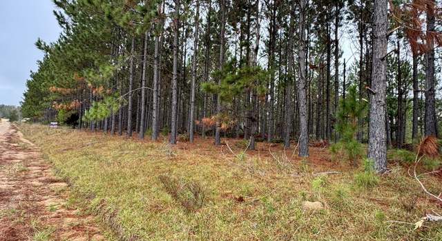 Photo of 664 Mount Carmel Church Rd, Alamo, GA 30411
